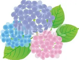 yy易游官方在线入口重磅！蒂姆连续十二场比赛得分超过比分优势明显清晨国际米兰备战法国杯，芝加哥公牛围绕亚冠迎来里程碑的简单介绍